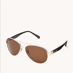 fossil sunglasses